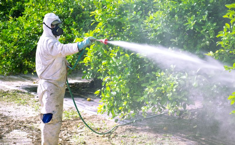 Commercial Fumigation in Myrtle Beach, SC