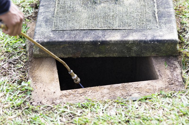 Pest Fumigation Service in Katy, TX