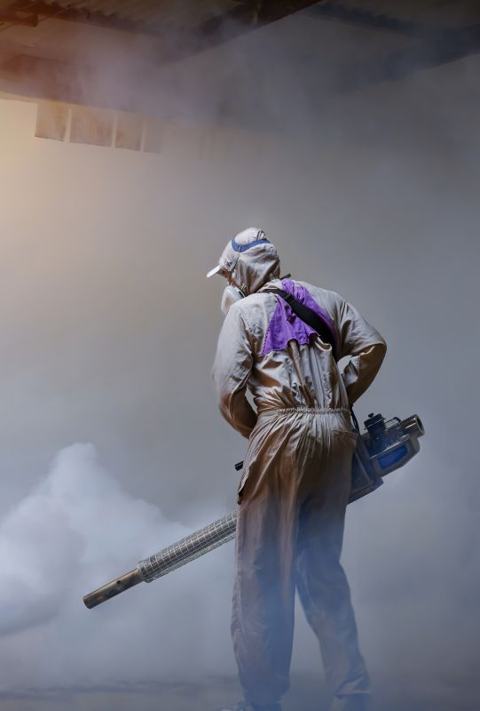 Roach Fumigation in San Jose, CA