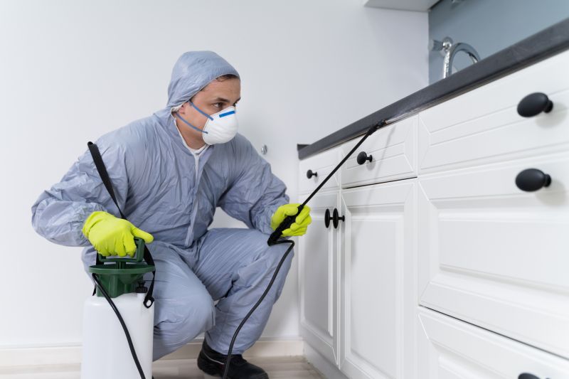 Bug Removal Service in Katy, TX