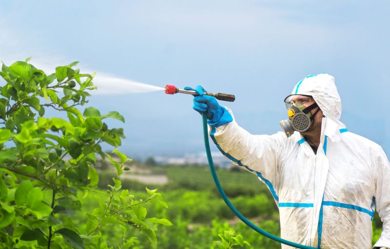 Commercial Fumigation in Madison, WI