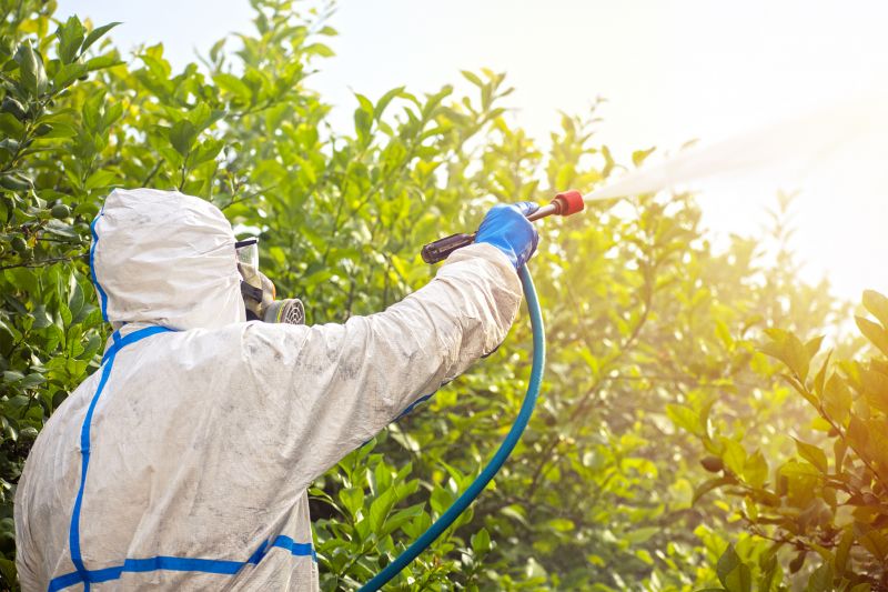 Pest Fumigation Service in Tampa, FL