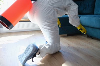 Pest Fumigation Service in Asheville, NC