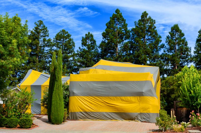 Tent Fumigation in Bellingham, WA